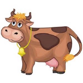 Cow