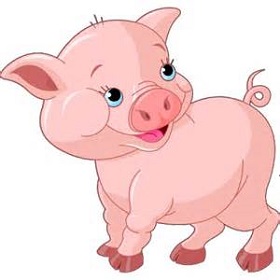 Pig